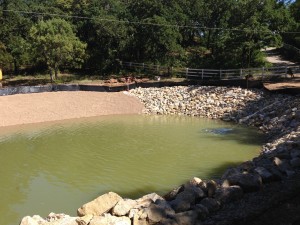 Fish Pond Construction (36)   